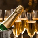 Champagne and sparkling wine at CNG Wine & Spirits, Murfreesboro TN