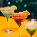 Vodka, gin, rum and tequila at CNG Wine & Spirits, Murfreesboro TN